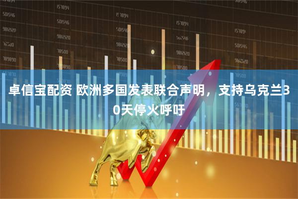 卓信宝配资 欧洲多国发表联合声明，支持乌克兰30天停火呼吁