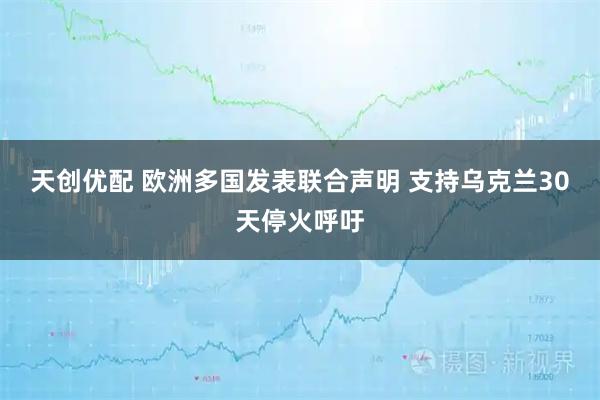 天创优配 欧洲多国发表联合声明 支持乌克兰30天停火呼吁