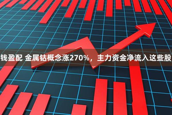 钱盈配 金属钴概念涨270%，主力资金净流入这些股