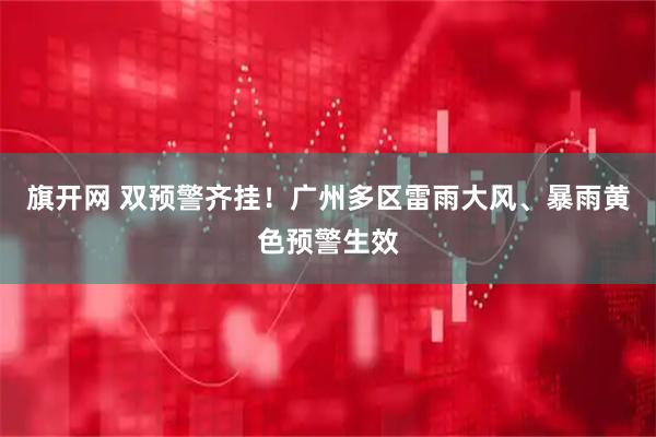 旗开网 双预警齐挂！广州多区雷雨大风、暴雨黄色预警生效